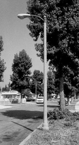 Standard cobra head street lamp curved over a quiet residential street with mature trees.