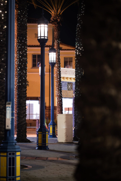 strands of lights on pole