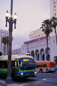Bus on Hollywood Boulevard