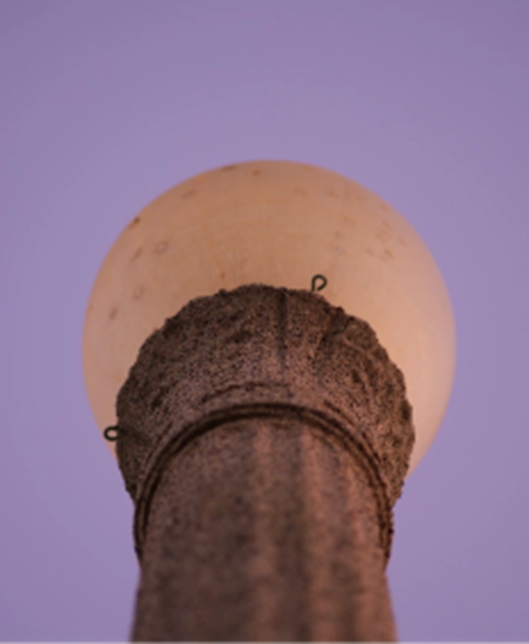 Pole looking up